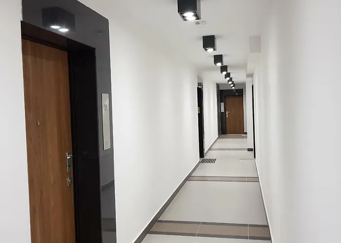 100m From Old Town And Marina *